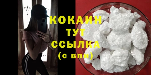 индика Лихославль