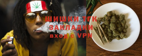 хмурый Лиски