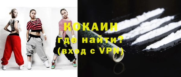 индика Лихославль