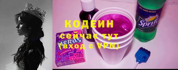 хмурый Лиски