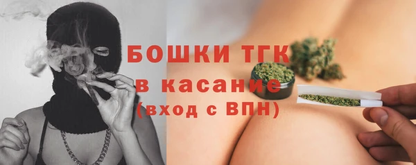 хмурый Лиски