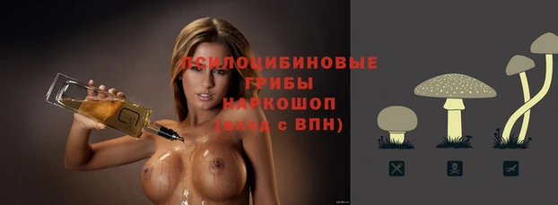 хмурый Лиски