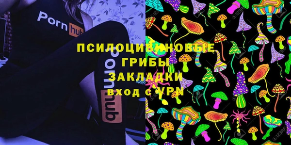 2c-b Липки