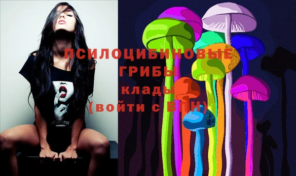 2c-b Липки