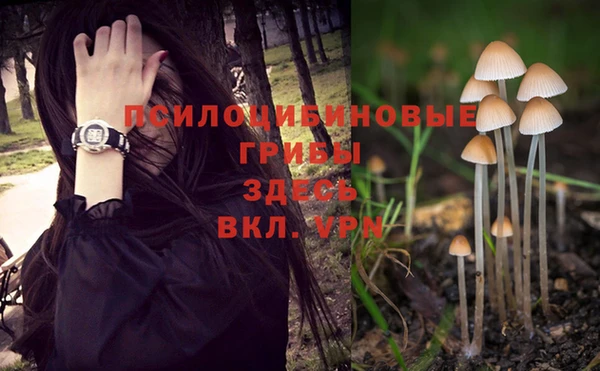 крисы Березники