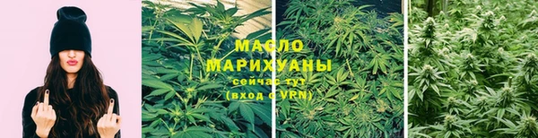 индика Лихославль