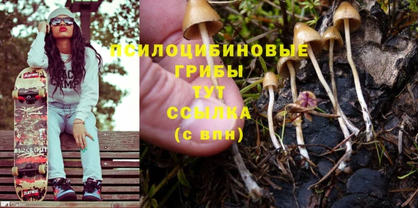 индика Лихославль