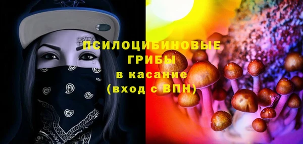 хмурый Лиски
