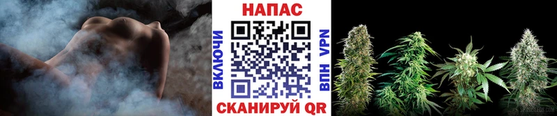 Шишки марихуана MAZAR  Шенкурск 
